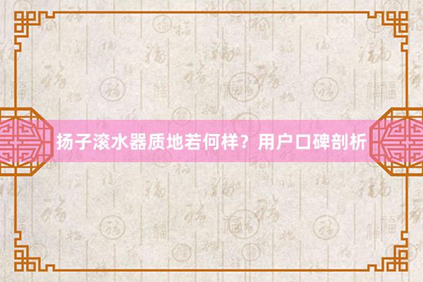 扬子滚水器质地若何样？用户口碑剖析