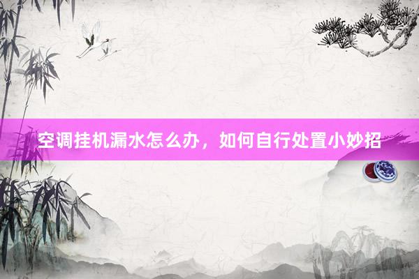 空调挂机漏水怎么办，如何自行处置小妙招